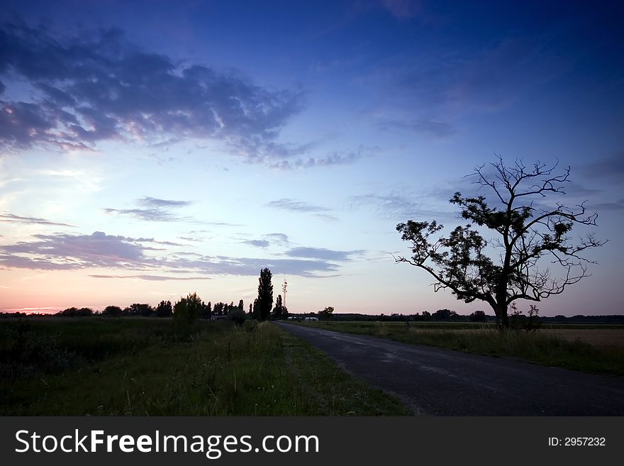 Sunset with a tree