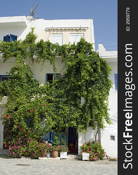 Greek island street scene cyclades architecture with plants bougainvillea and flowers