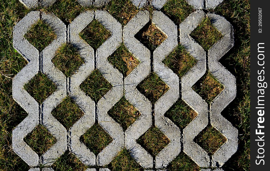 Grass between stones, block paving. Grass between stones, block paving