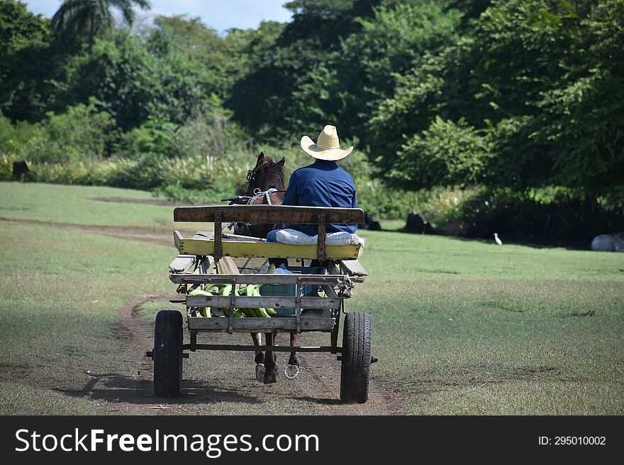 Guarandinga, quitr�n or cart: horse-drawn transport typical of the Cuban countryside