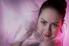 Sexy And Beauty Stock Image Sexy And Beauty Stock Image