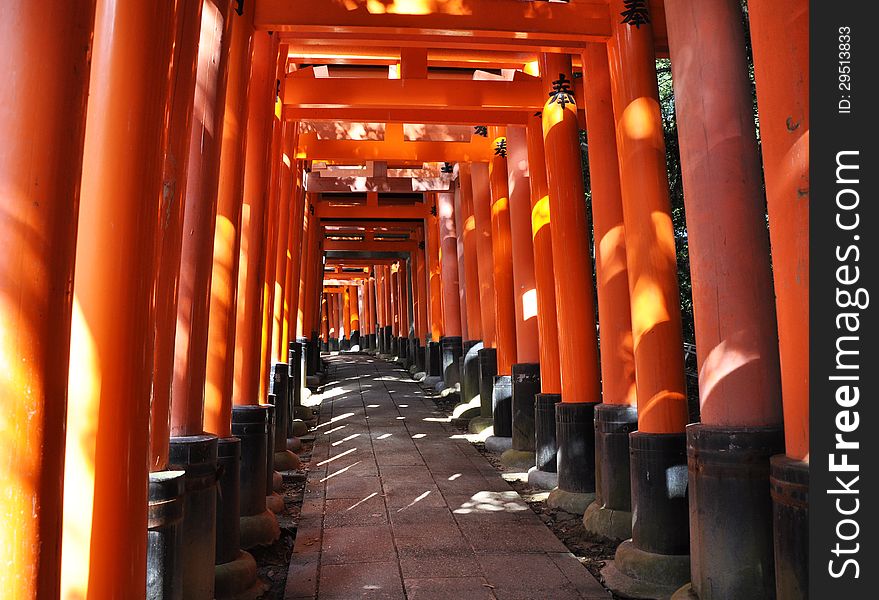 Fushimi Inari Taisha Shrine in Kyoto, Japan, famous for its many bright orange torii gates