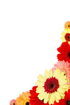 Bouquet Of Gerber Flowers On White Background Royalty Free Stock Image Bouquet Of Gerber Flowers On White Background Royalty Free Stock Image