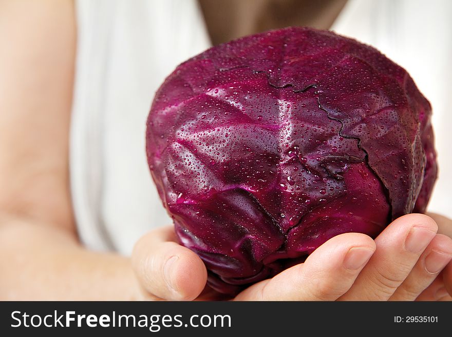 Image of hand holding red cabbage