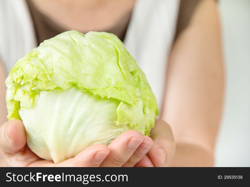 Image of hand holding fresh cabbage