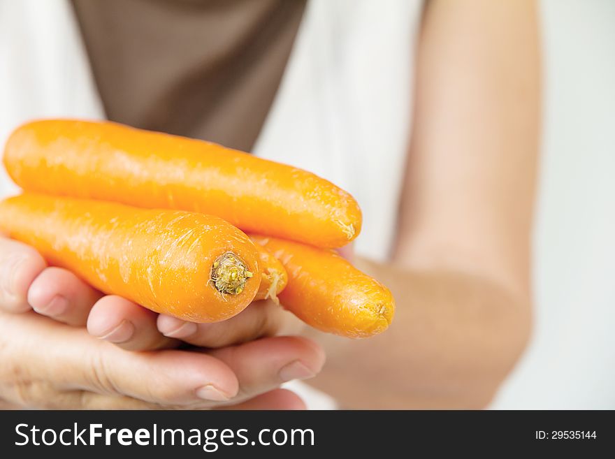 Image of hand holding carrot
