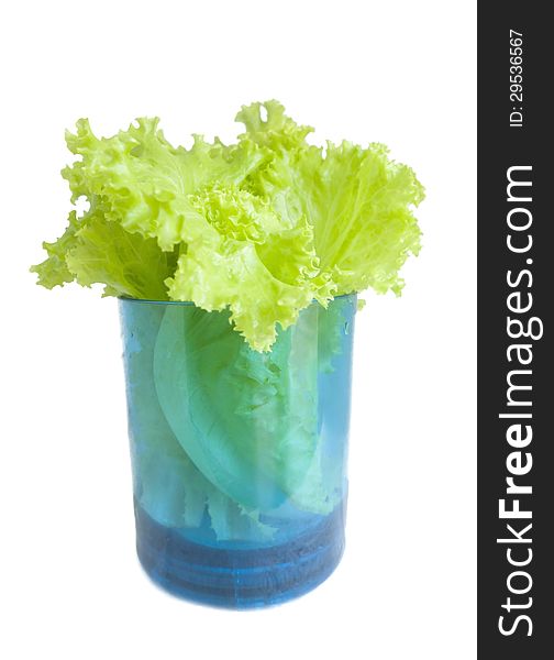Fresh lettuce in glass on the white background.