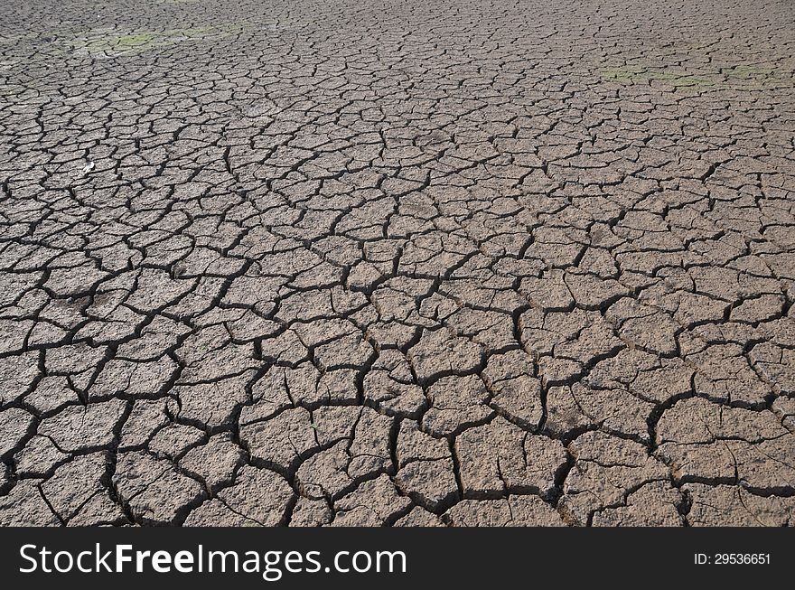 Dry land in Gundipet lake the South Indian state Andhra Pradesh