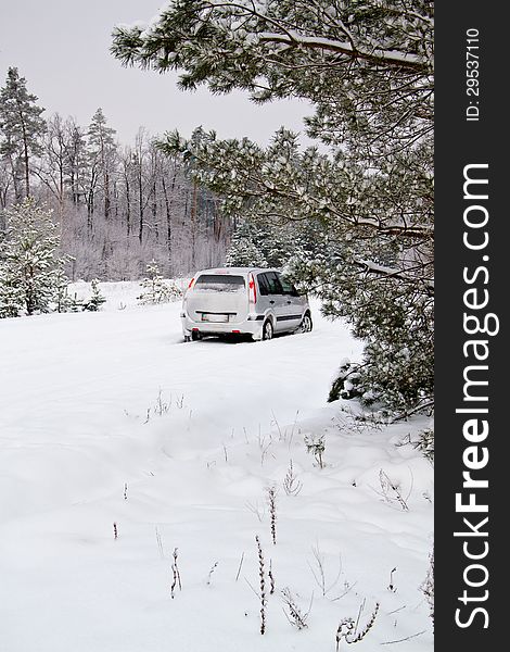 Car in the winter forest on th road