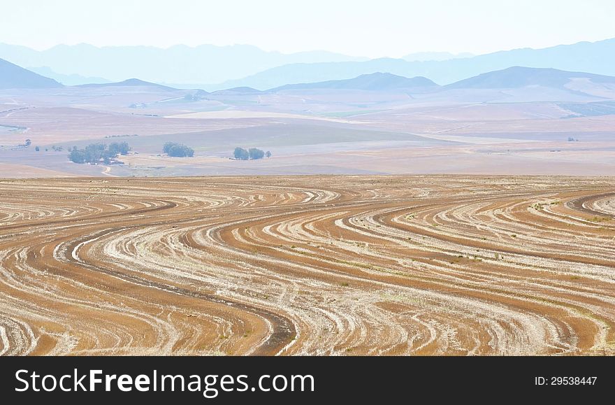 Landscape of tracks in a harvested field. Landscape of tracks in a harvested field