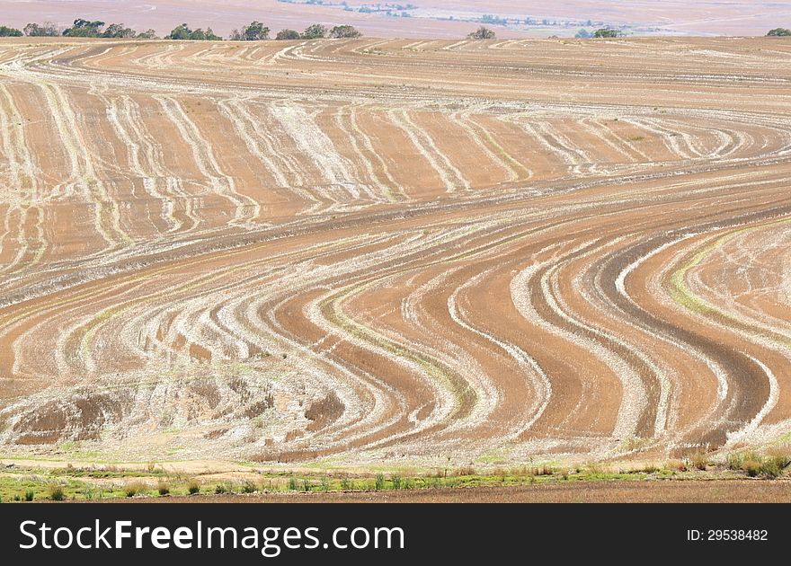 Landscape of tracks in a harvested field. Landscape of tracks in a harvested field