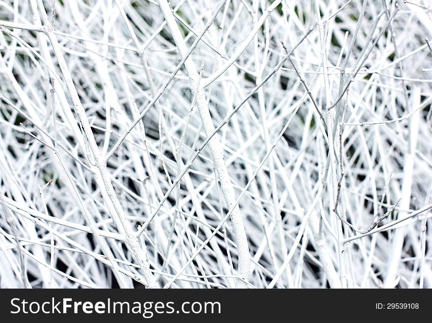 Background made of white branches. Wedding or christmas decor.