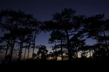 Pine Tree Silhouette On Mountain Sunset Royalty Free Stock Photo