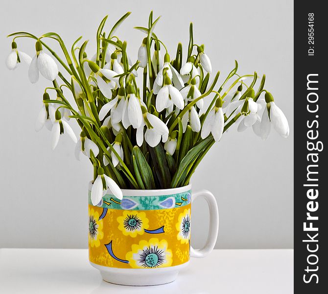 Bunch of snowdrops in a cup.