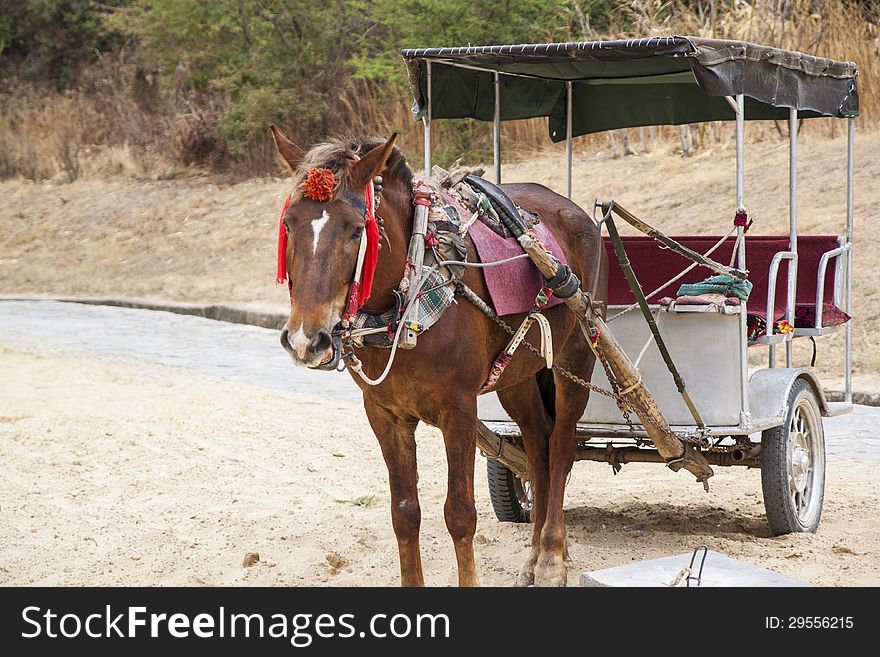 Chinese horse-drawn carriage with two wheels