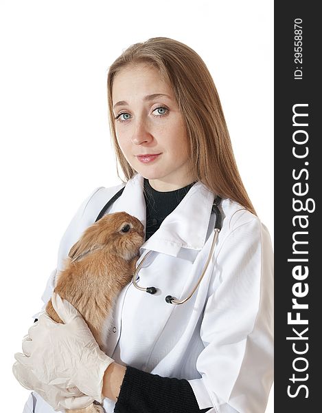 Young Veterinarian Doctor With Pet Brown Rabbit.