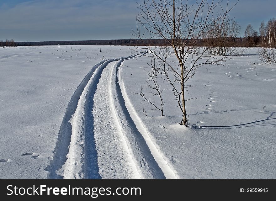 Snowmobile Trail In Winter Field