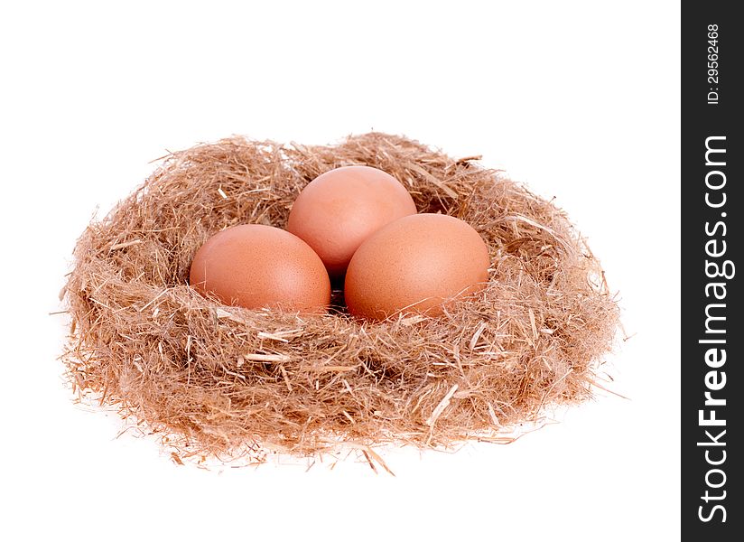 Three yellow eggs in the nest isolated