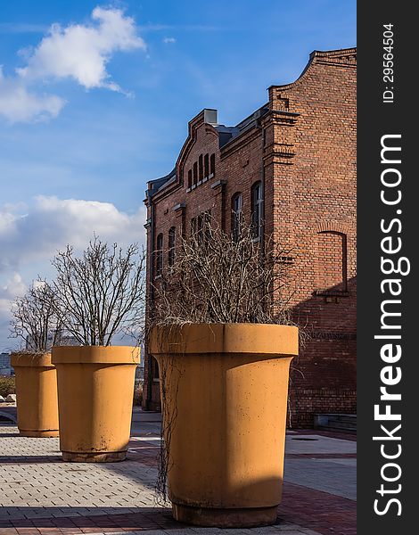 Huge planters with the trees on the site of a former coal mine Silesia in Katowice, Silesia region, Poland.