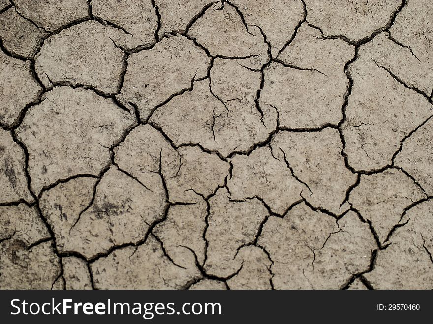 Mud that has been dried and cracked from the sun in a swamp. Mud that has been dried and cracked from the sun in a swamp.