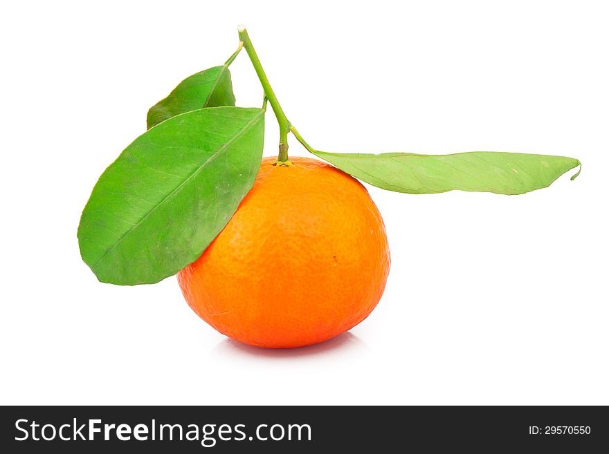 Fresh mandarin fruit with green leaves,  on white background. Fresh mandarin fruit with green leaves,  on white background