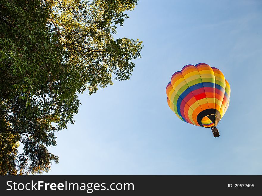 Balloon on blue sky with tree