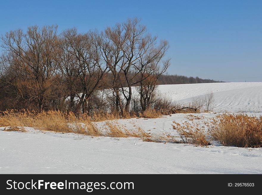 Natural landscape in a bright and sunny winter day. Natural landscape in a bright and sunny winter day