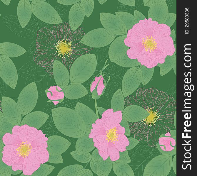 Seamless floral pattern with Sweetbriar. Seamless floral pattern with Sweetbriar