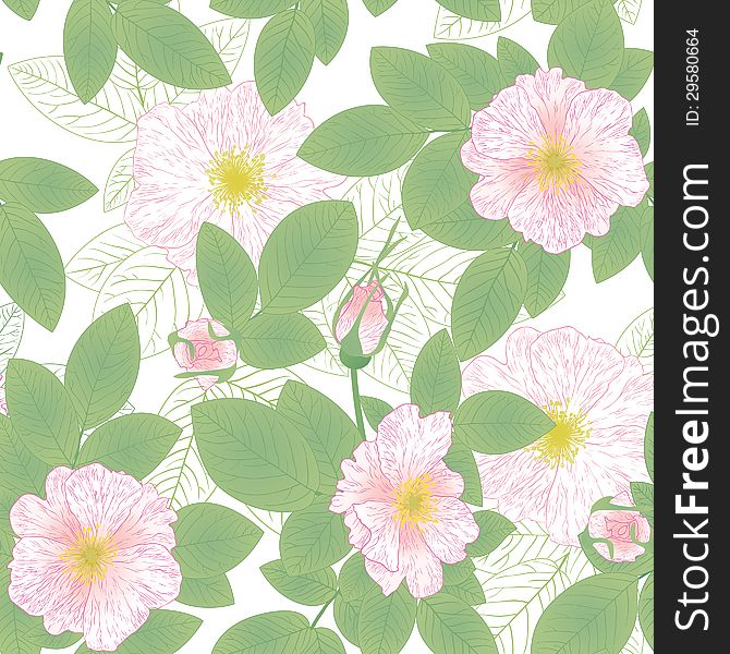 Seamless floral pattern with Sweetbriar. Seamless floral pattern with Sweetbriar