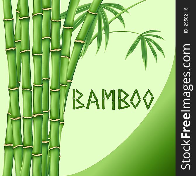 Bamboo with leaves on green background. Bamboo with leaves on green background