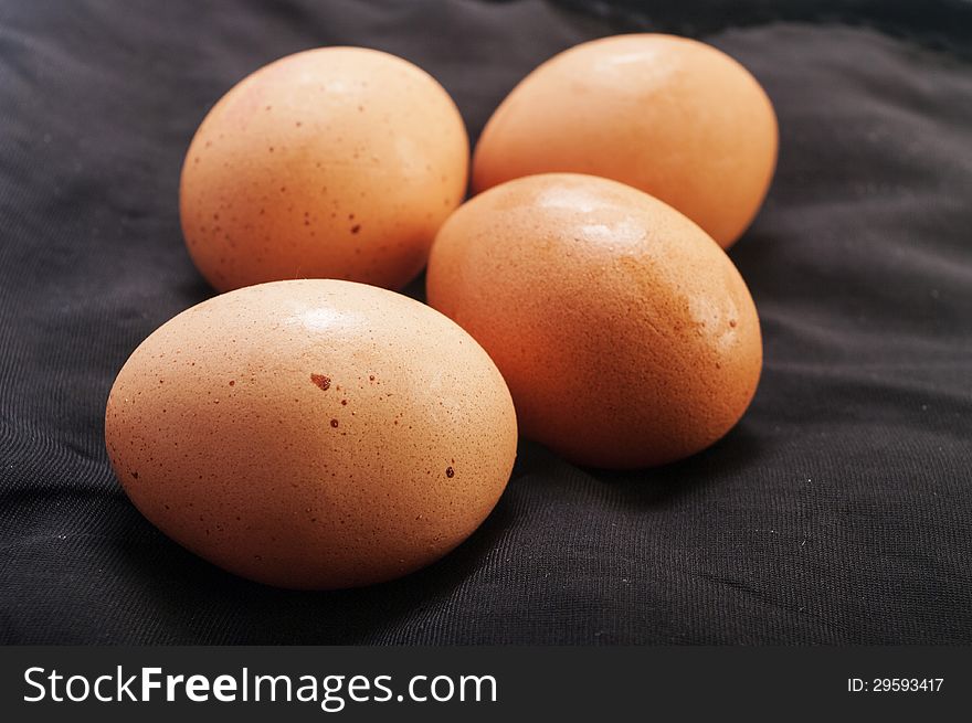 Egg close up in black background