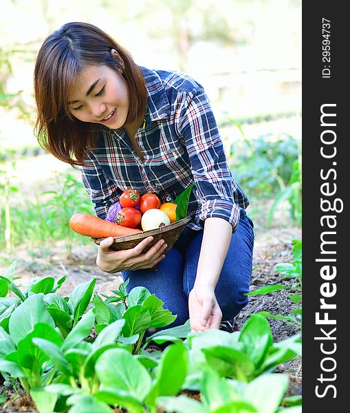 Beautiful asian woman harvesting organic vegetables