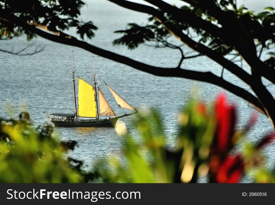 Green, yellow, red colors of the tropical nature with the yellow sail in the sea. Green, yellow, red colors of the tropical nature with the yellow sail in the sea