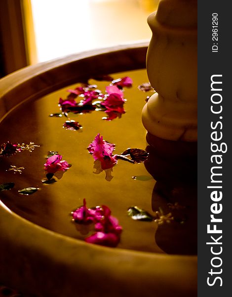 Fountain with pick petals floating in the water. Fountain with pick petals floating in the water