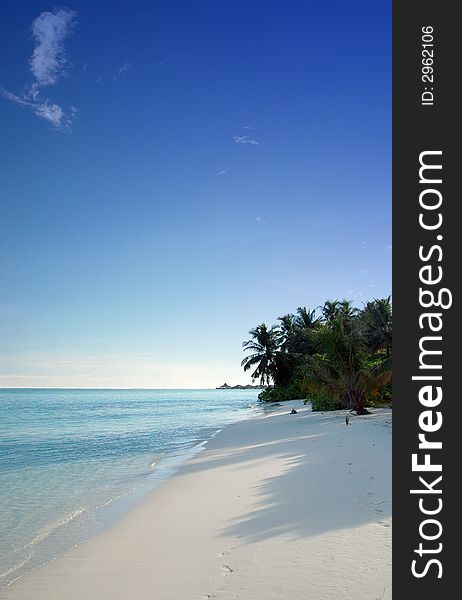 Tropical coastline with white sandy beach, coconut palm trees and beautiful turquoise ocean. Tropical coastline with white sandy beach, coconut palm trees and beautiful turquoise ocean