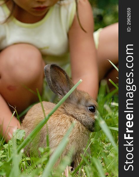 Photography of a young girl with a small rabbit in grass. Photography of a young girl with a small rabbit in grass