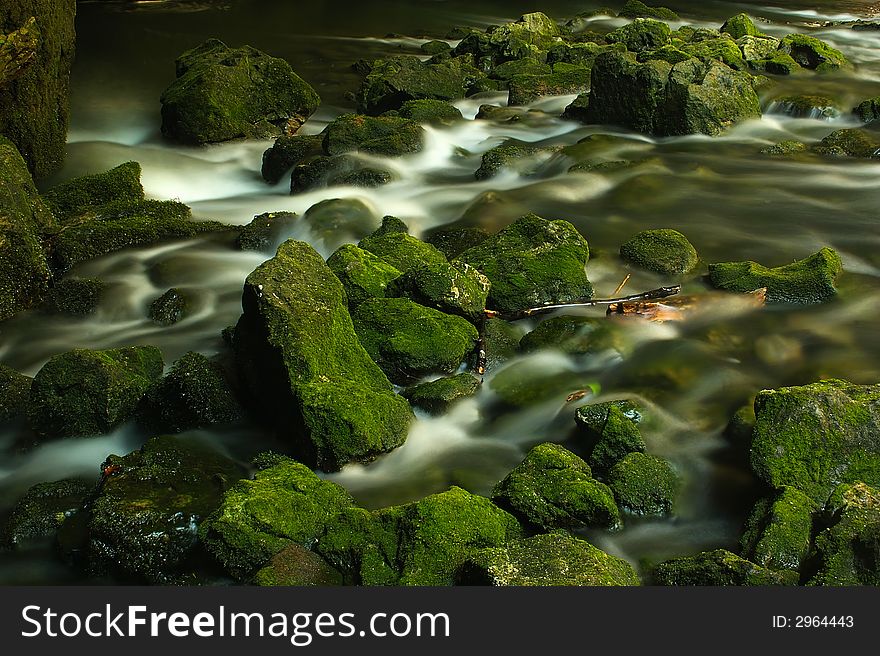 It is a small river in Slovenian woods. It is a small river in Slovenian woods