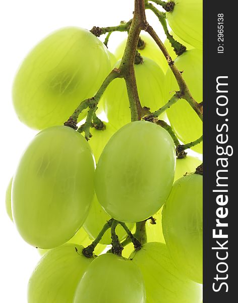 Green grape cluster on white background