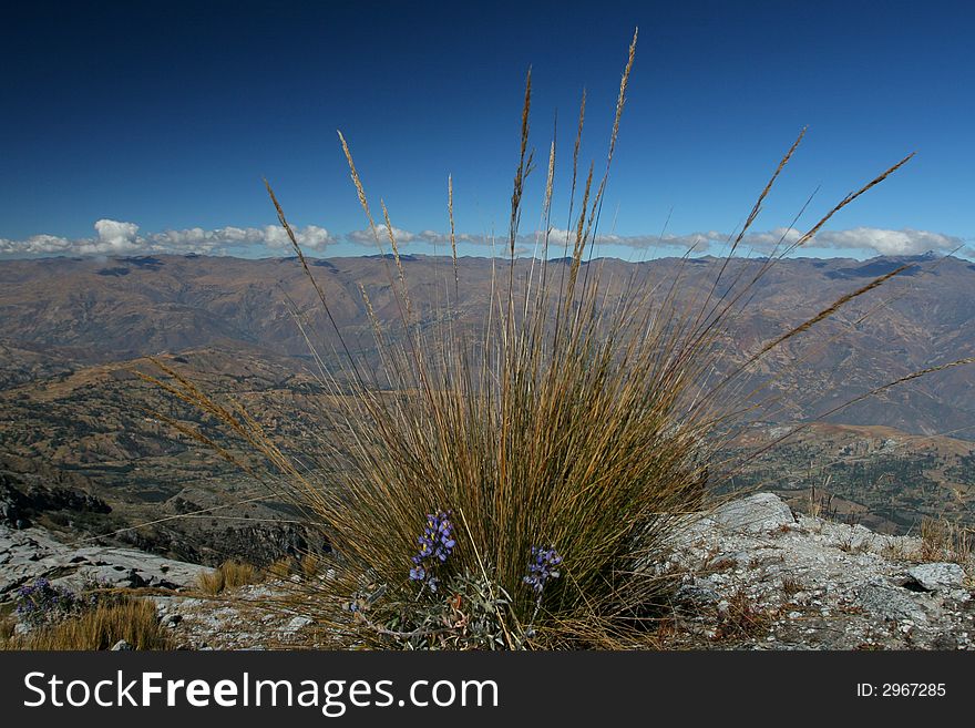 Cordillera Negra in Peru, South America. Cordillera Negra in Peru, South America