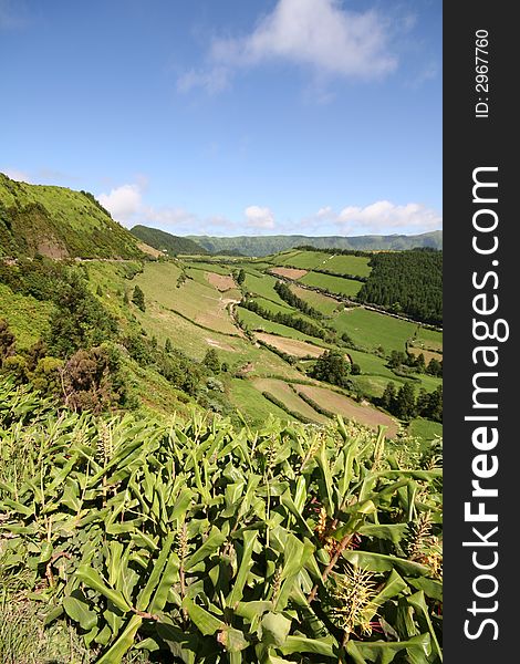 Azores Landscape