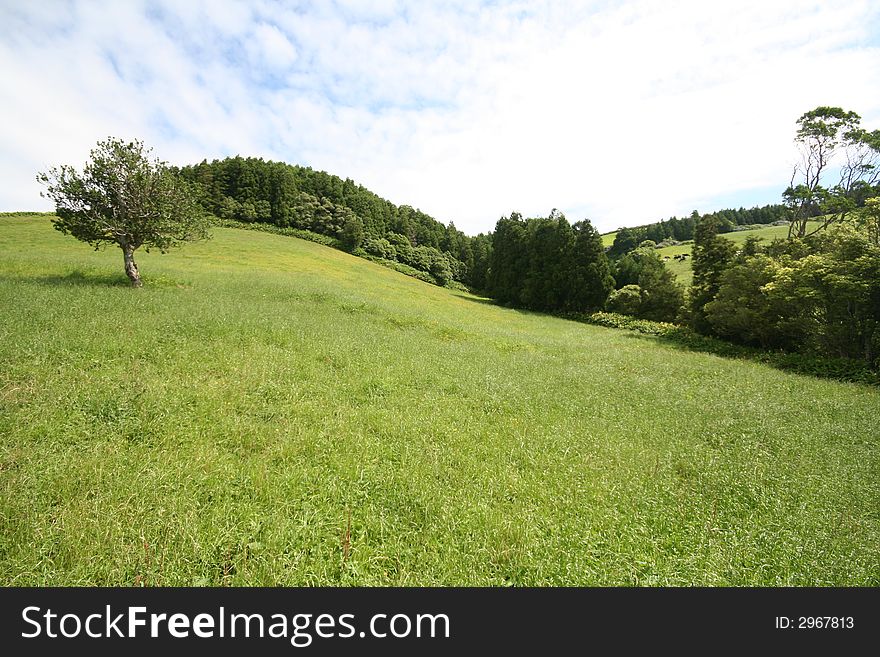 Azores Landscape