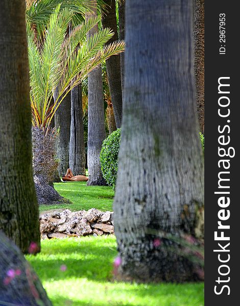 Man relaxing under palm trees. Man relaxing under palm trees.