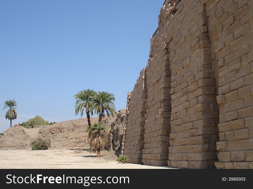Egypt Series (Palm Tree Horizo