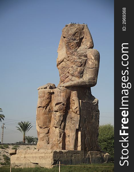 Various scenes of Luxor, in Egypt. Including the Karnak and Luxor Temple, Hatshepsut Temple and statues. Various scenes of Luxor, in Egypt. Including the Karnak and Luxor Temple, Hatshepsut Temple and statues.