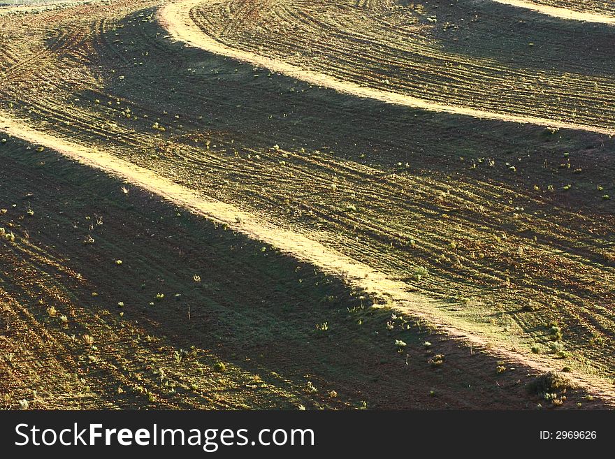Curved contours on a hill at sunrise. Curved contours on a hill at sunrise