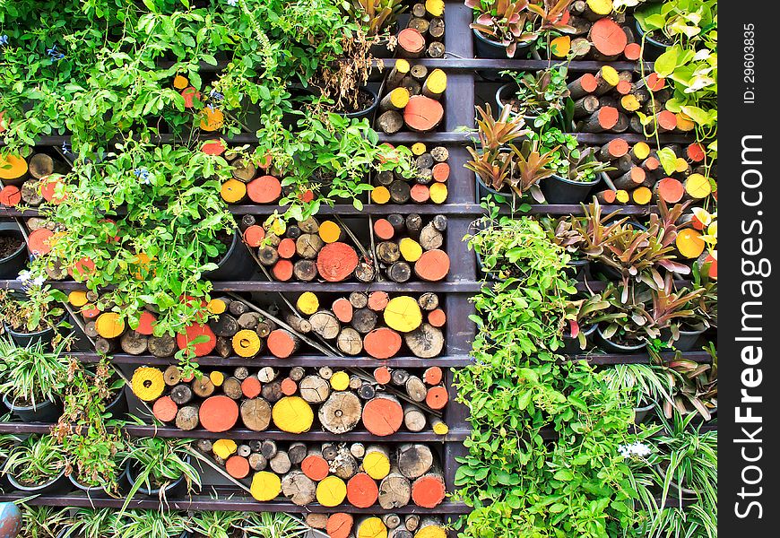 Small wall garden with colorful log