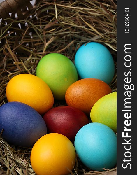 Colorful easter eggs in nest.