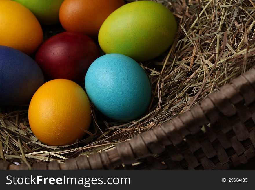 Colorful easter eggs in nest.