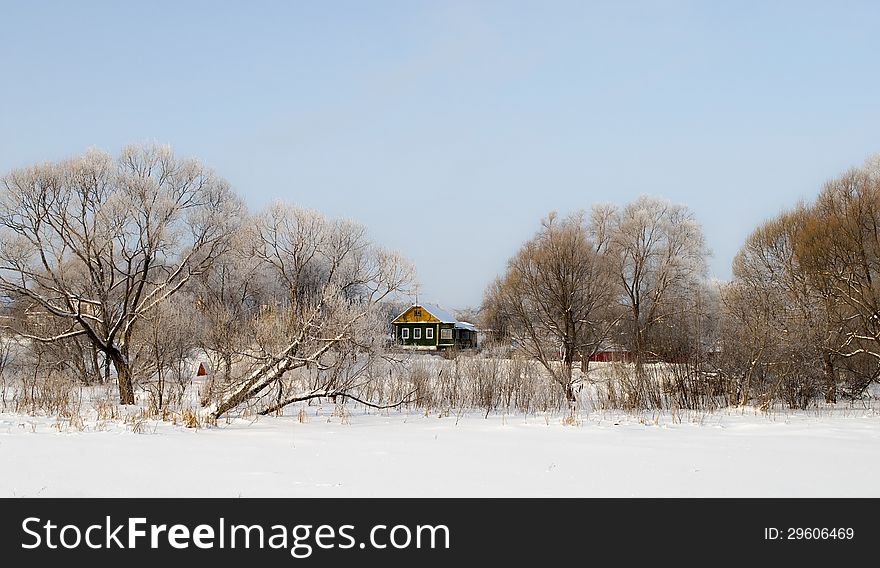 Snow-covered bare trees and a village on the frozen lake shore. Snow-covered bare trees and a village on the frozen lake shore