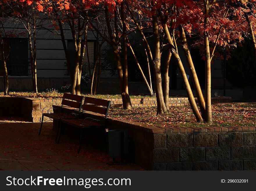 A dark shady secluded courtyard, park, alley, illuminated by sunlight on an early autumn morning.